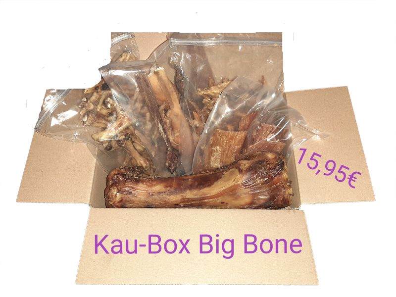Kaubox Big Bone